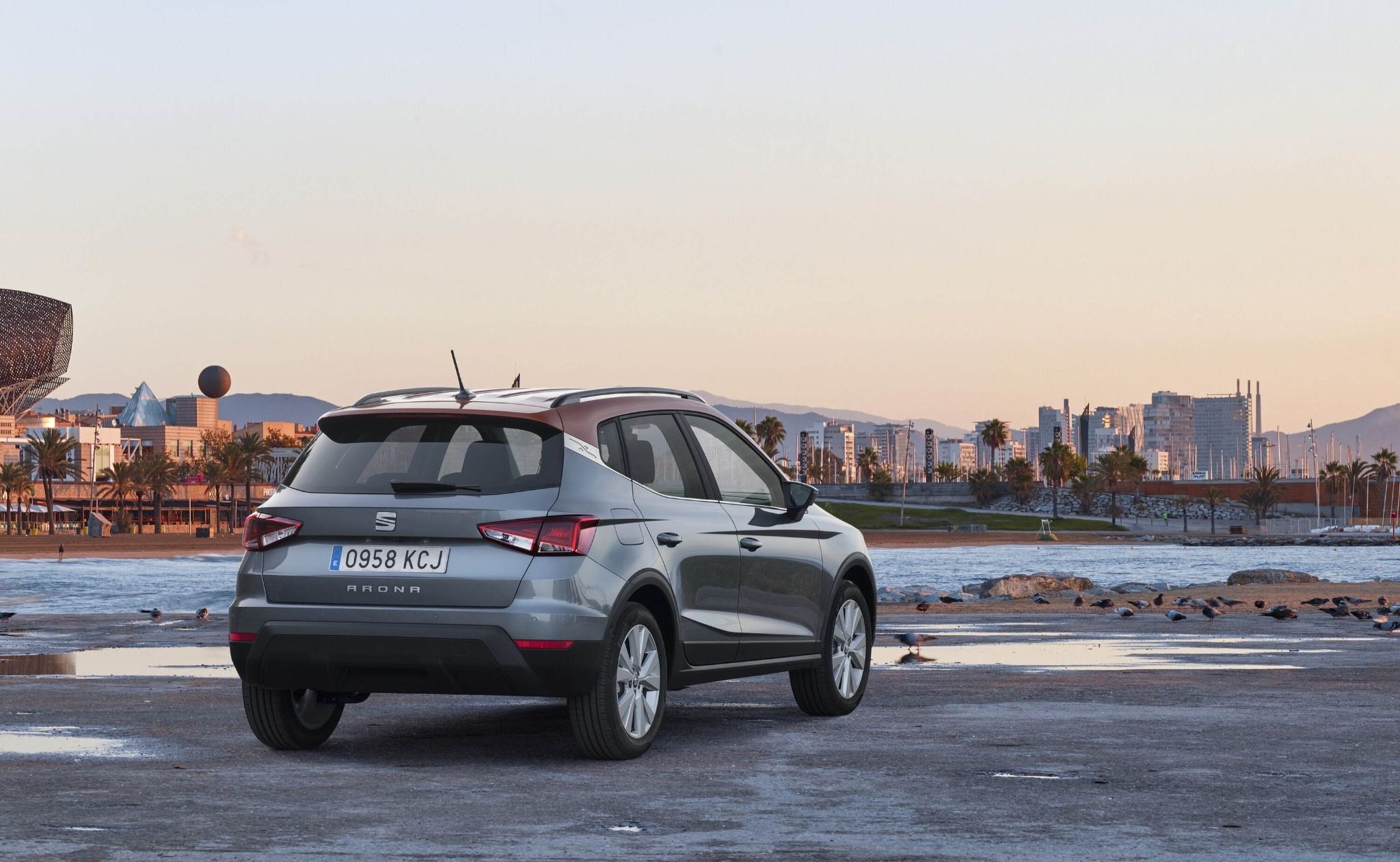 SEAT Arona Sunset
