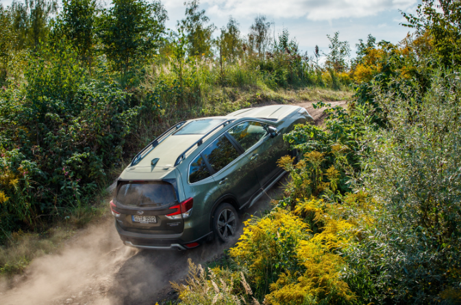 Green Subaru Forester driving up the side of a hill surrounded by trees