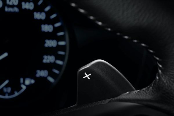 Paddle shifters