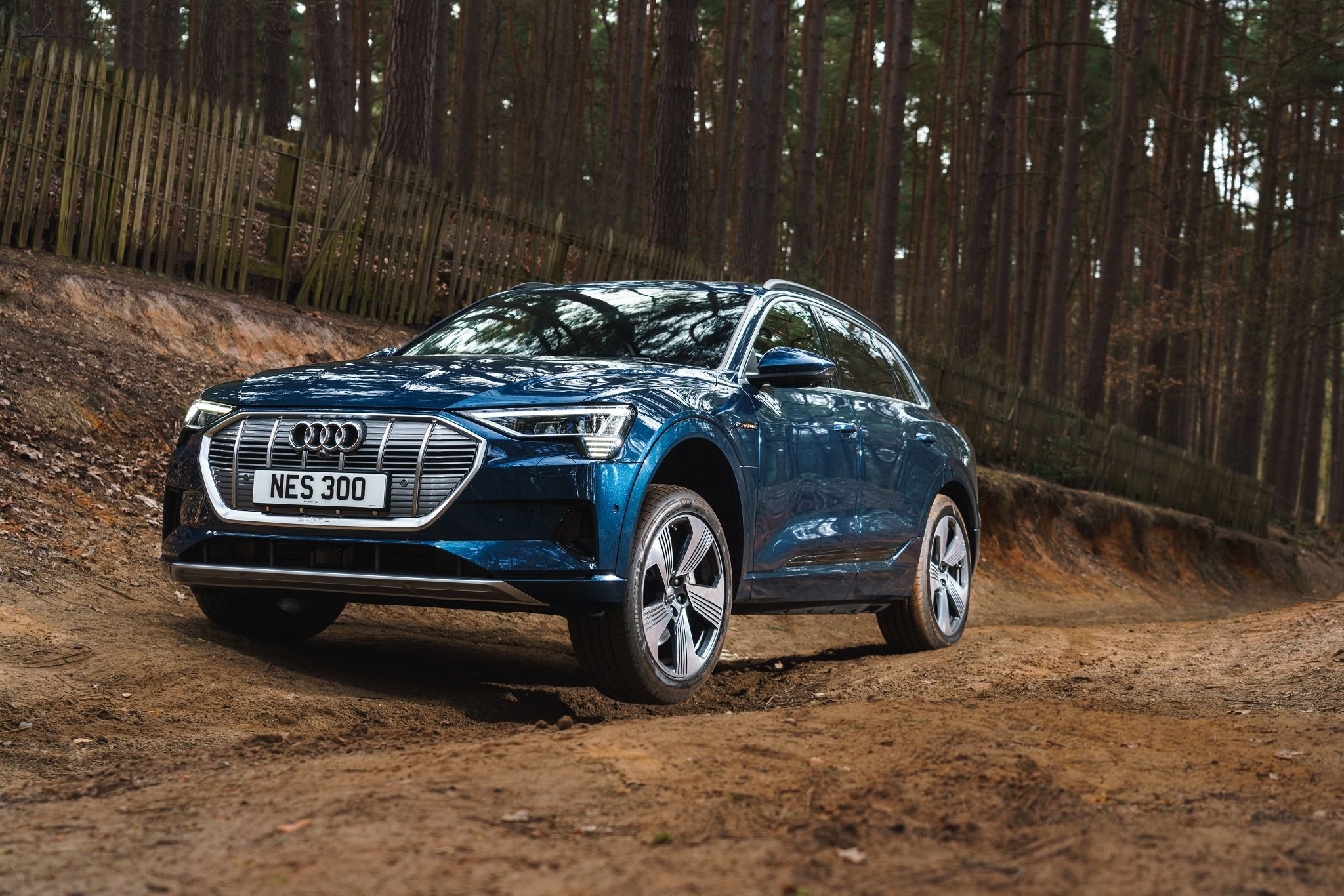 Audi e-tron driving off-road in the woods