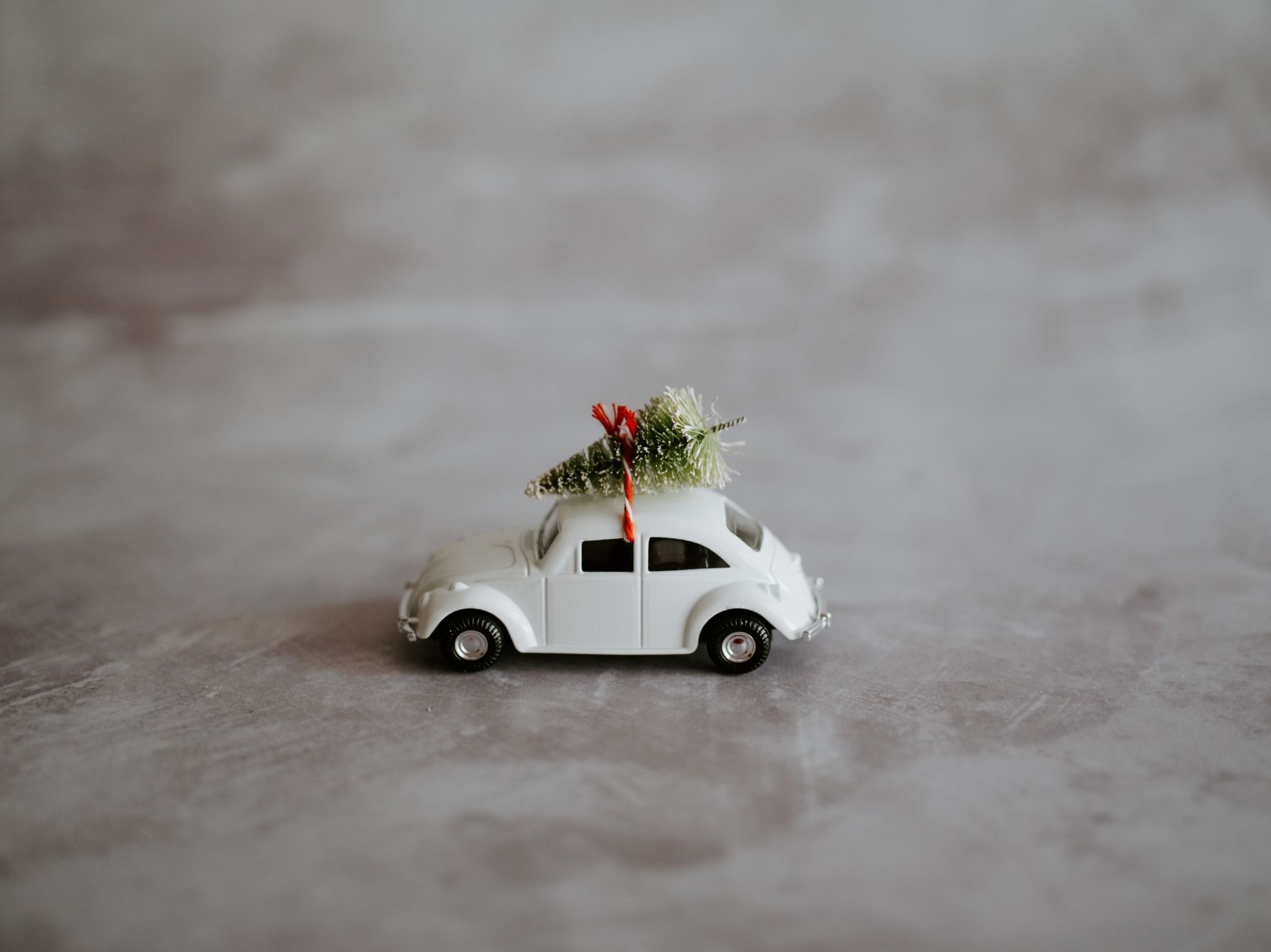 Little christmas tree on a toy car