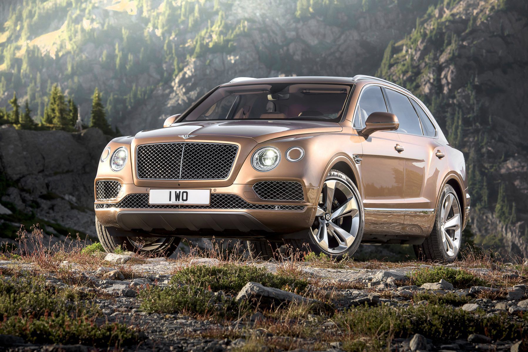 Gold Bentley parked on grass