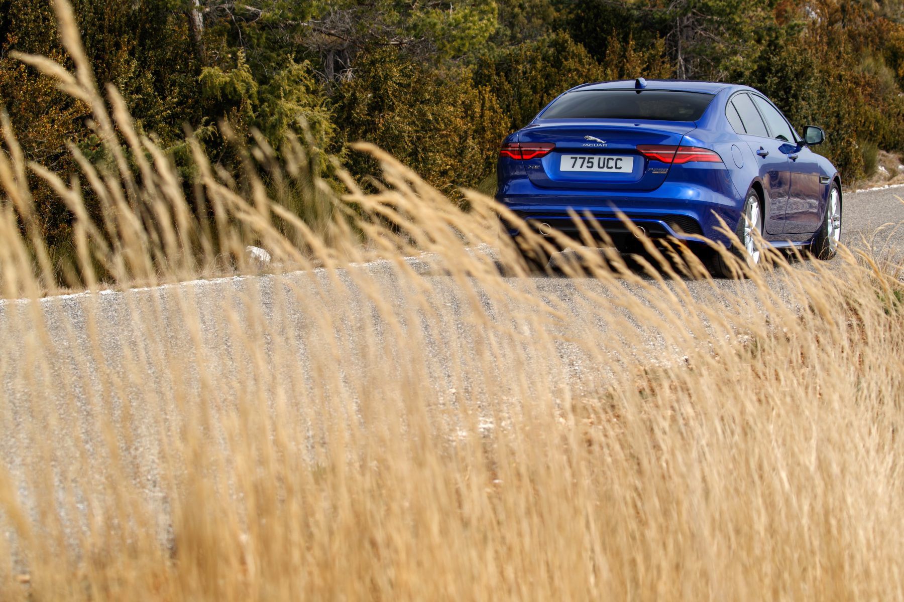 Blue Jaguar XE driving past a wheat blowing in the wind