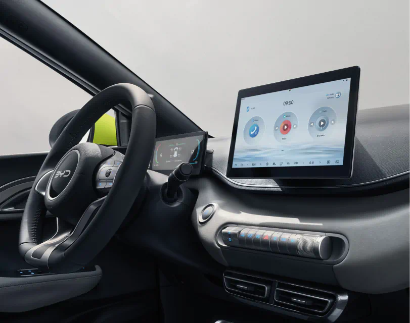 Dolphin Surf Interior