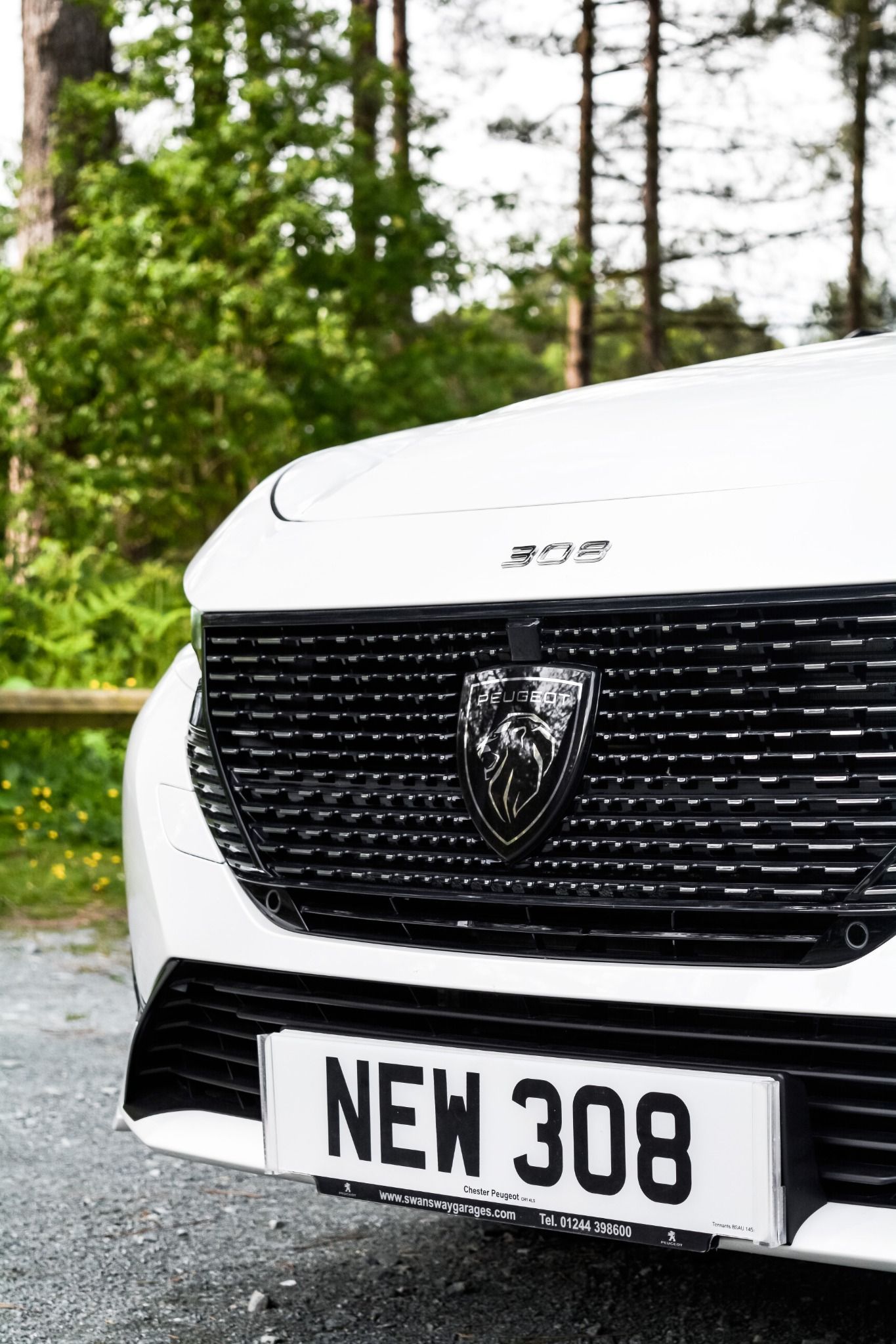 close-up of front grille on Peugeot 308.