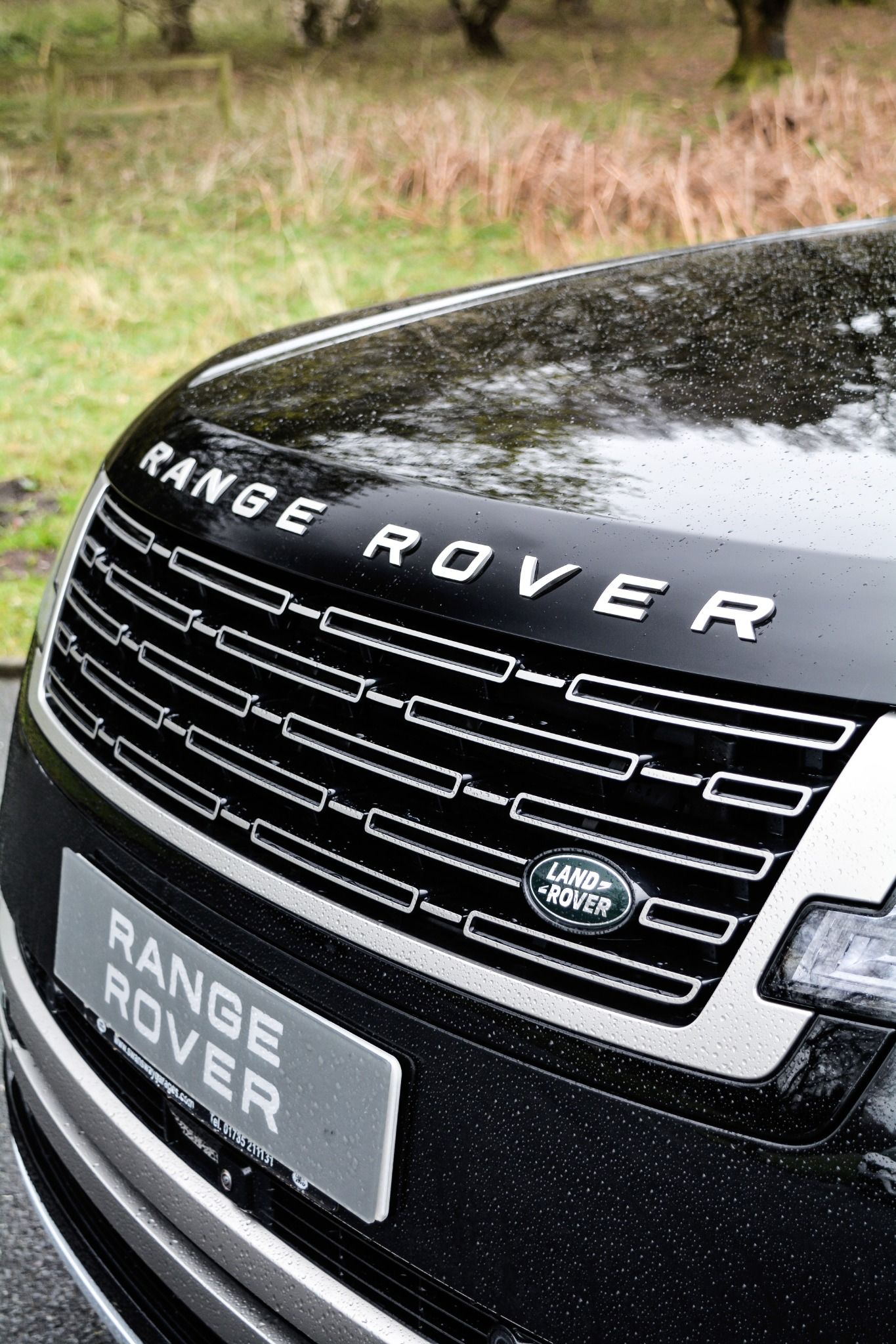 Close up of Range Rover Badging