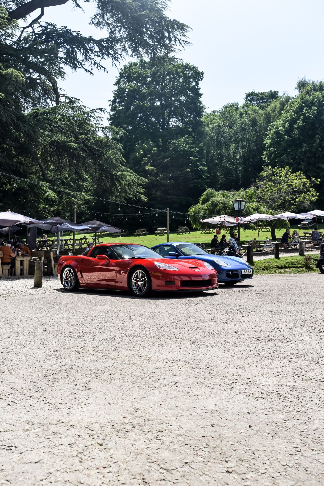 Red and Blue sports cars in front of picnic benches and grass
