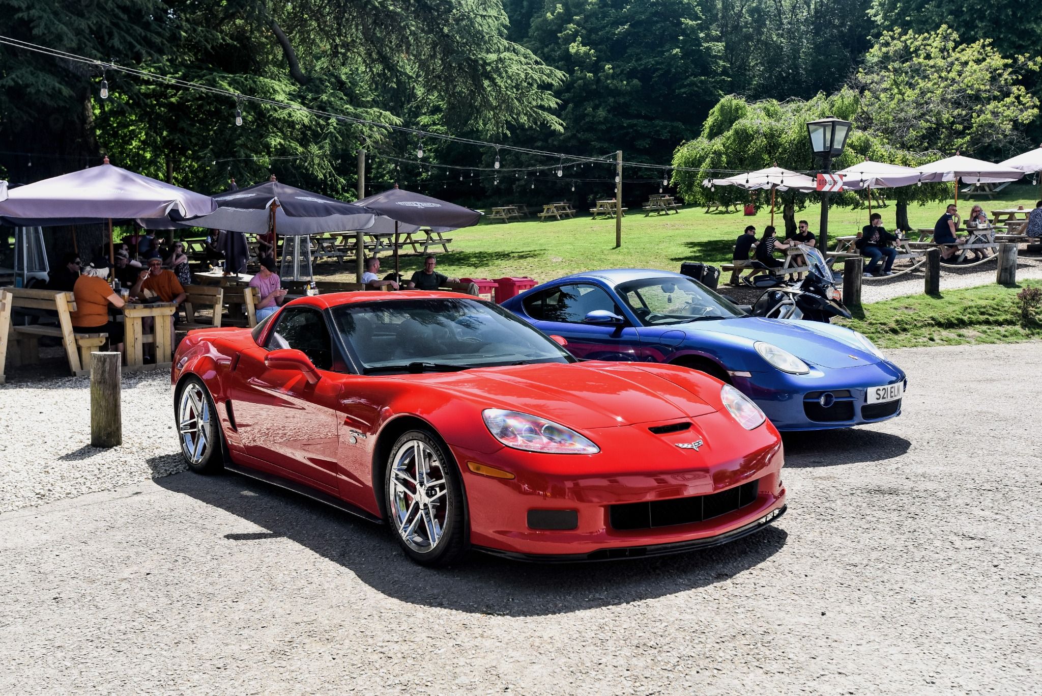 Red and Blue sports cars next to each other in front of park benches and grass