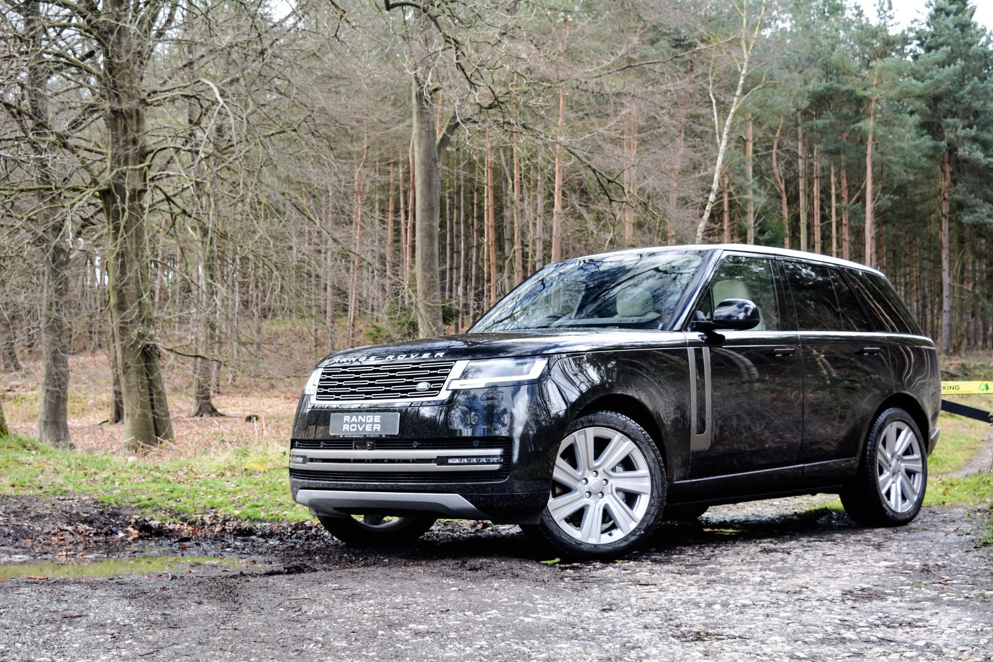 Range Rover parked in the Woods