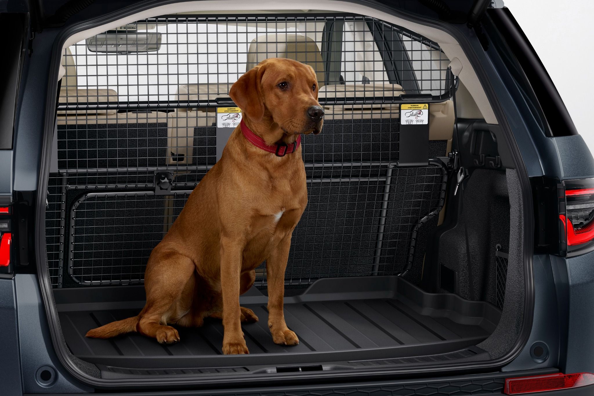 Pet Protection in Land Rover Discovery Sport